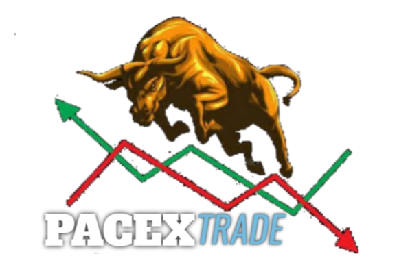 PacexTrade typography logo